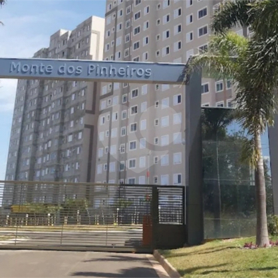 Monte dos Pinheiros — o começo de uma nova fase para sua família