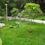 Apartamento na Vila Mariana!