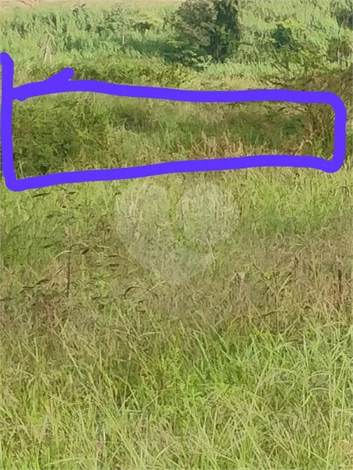 Sítio em Monte Mor (SP) a venda.