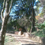Sítio à venda em Chácara São João, Campo Limpo Paulista, SP