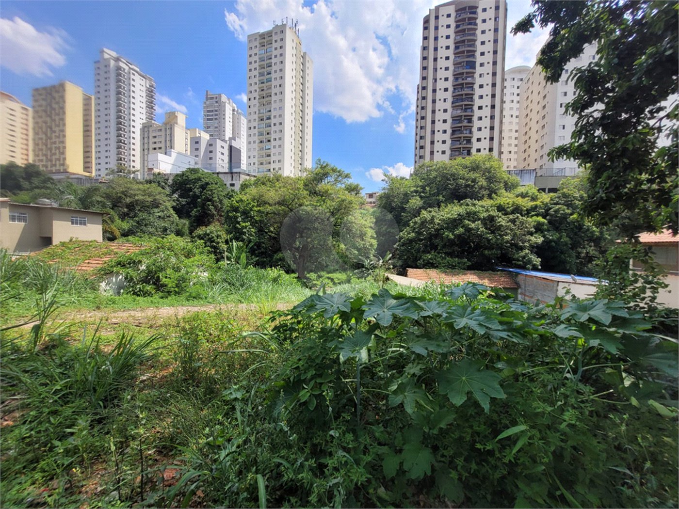 Terreno à venda com 1 quarto em Água Fria, São Paulo, SP