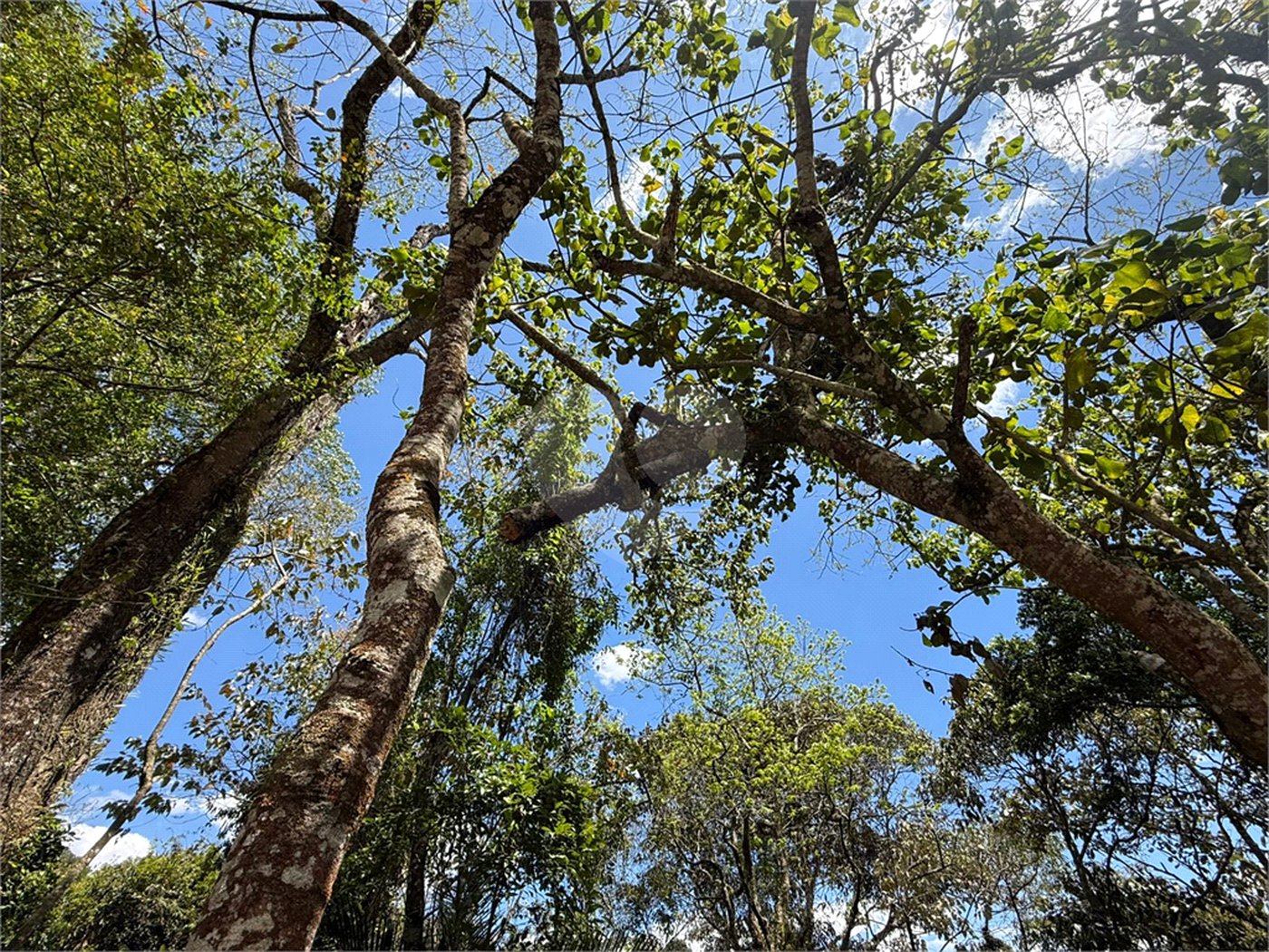 Terreno à venda no condomínio Alpes da Cantareira, Mairiporã - SP