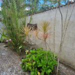 Chácara à venda com 4 quartos em Aguapeú, Itanhaém, SP