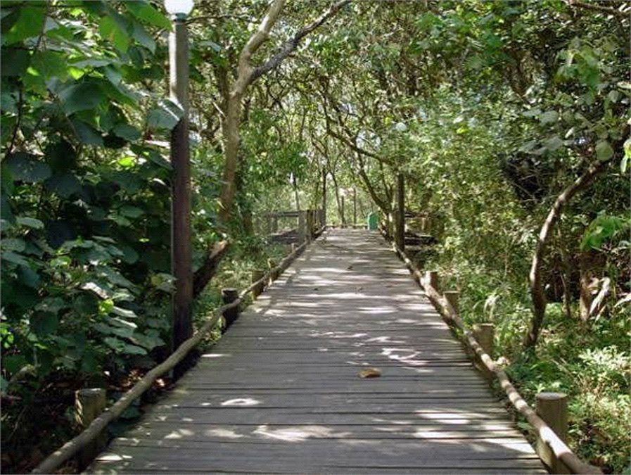 Terreno à venda em Guarapiranga, São Paulo, SP