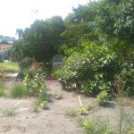Terreno à venda em Pirituba, São Paulo, SP