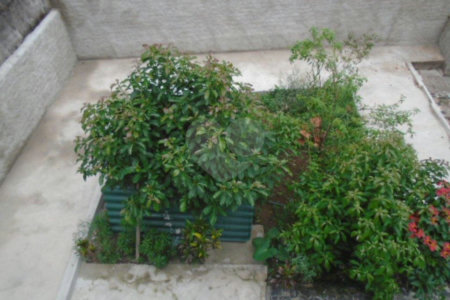 Sobrado à venda com 3 quartos em Vila Maria Alta, São Paulo, SP