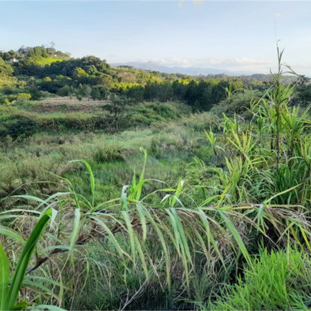 Área de Terra à venda em Três Pistas, Atibaia, SP