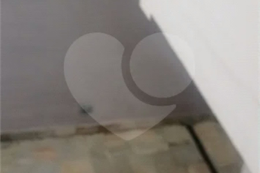 Sobrado à venda com 4 suítes em Jardim São Paulo(zona Norte), São Paulo, SP