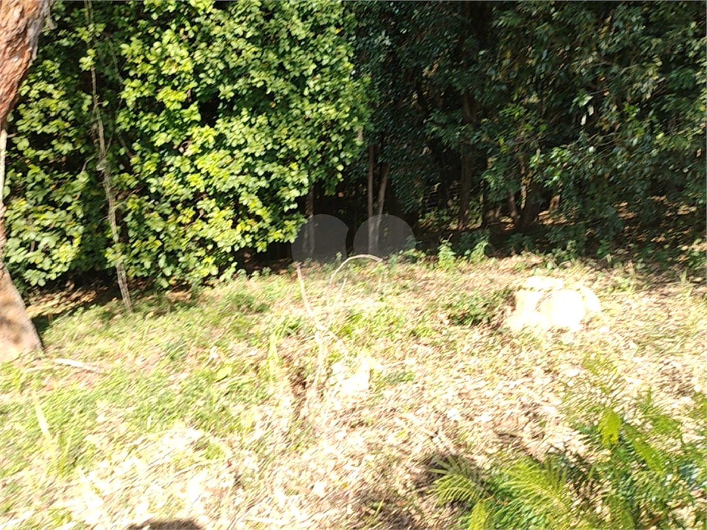 Terreno à venda em Loteamento Vale Azul I, Jundiaí, SP