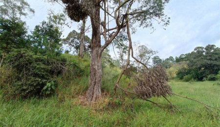 Terreno à venda em Jardim Monte Santo, Itapetininga, SP