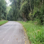 Terreno à venda em Serra da Cantareira, Mairiporã, SP
