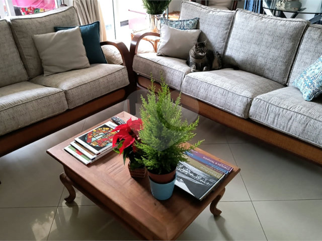 Apartamento à venda com 3 quartos, sendo 1 suíte,  em Mandaqui, São Paulo, SP