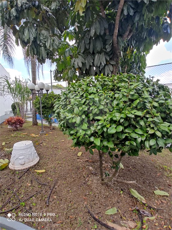 Apartamento à venda ou para alugar com 3 quartos, sendo 1 suíte, em Vila Maria, São Paulo, SP