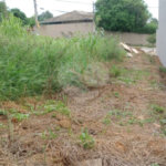 Terreno à venda em Pinheirinho, Vinhedo, SP