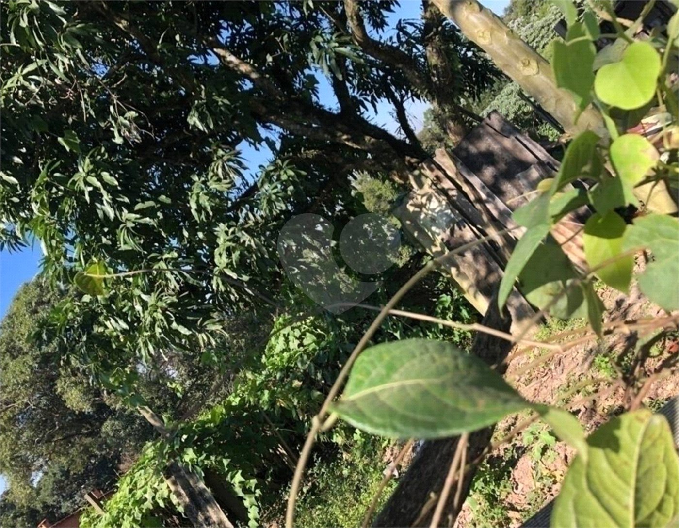 Terreno à venda em Parque Novo Horizonte, Itaquaquecetuba, SP