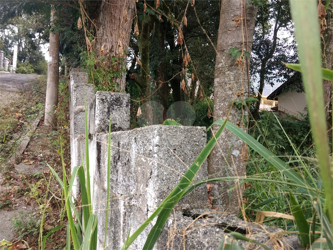 Terreno à venda em Horto, São Paulo, SP