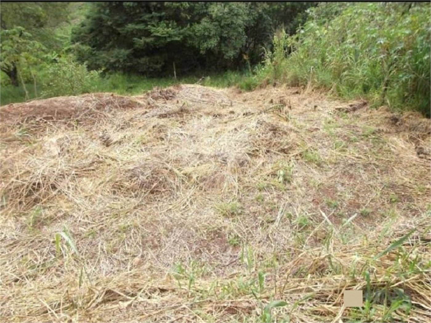 Terreno à venda em San Fernando Valley, Atibaia, SP