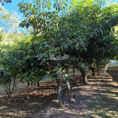 Casa Pé na Água em Atibaia com Acesso à Represa e Mais de 3.000 m² de Natureza