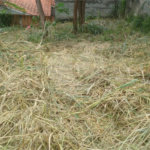 Terreno à venda em Jardim do Trevo, Atibaia, SP