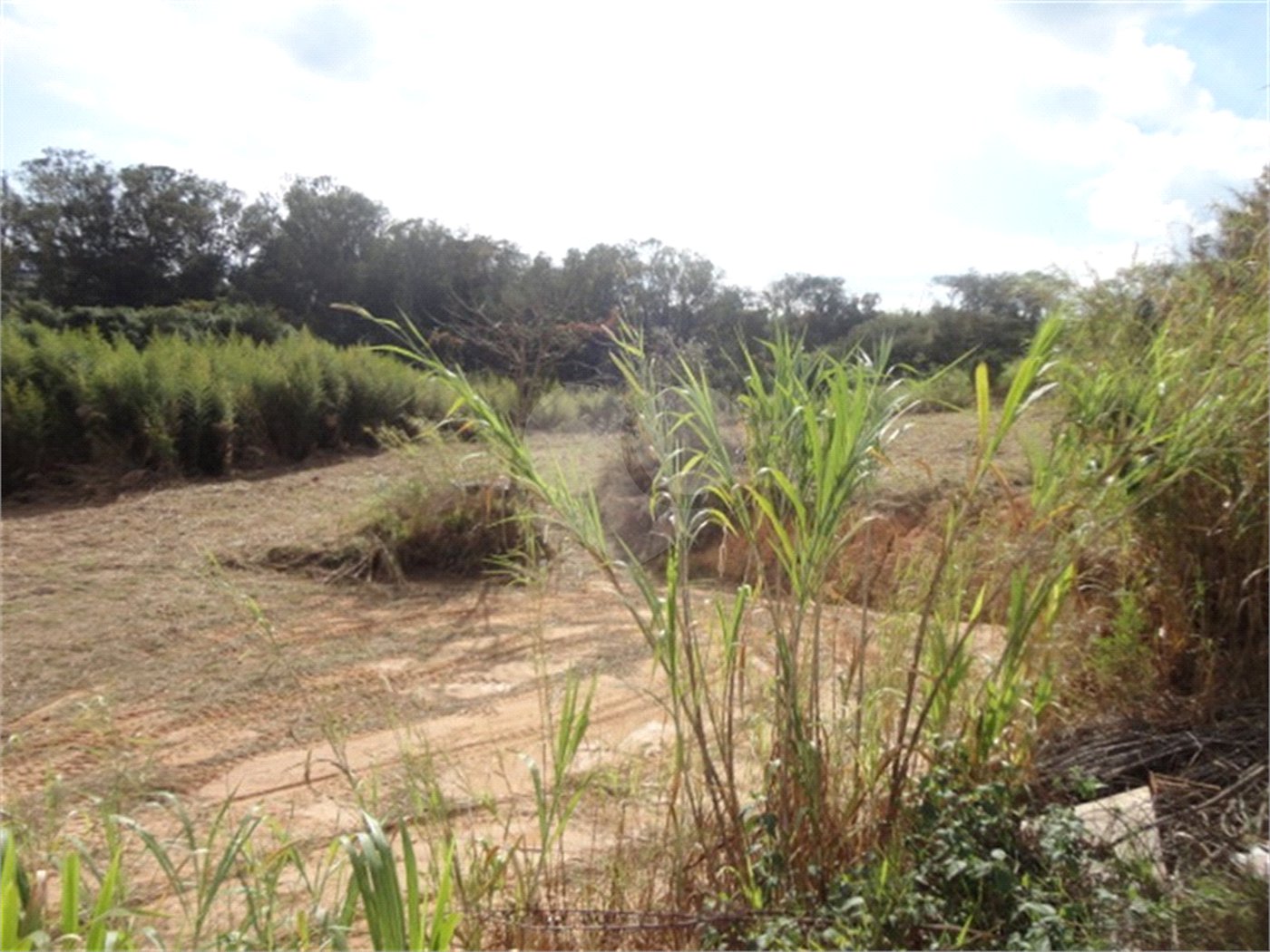 Terreno à venda ou para alugar em Cachoeira, Vinhedo, SP