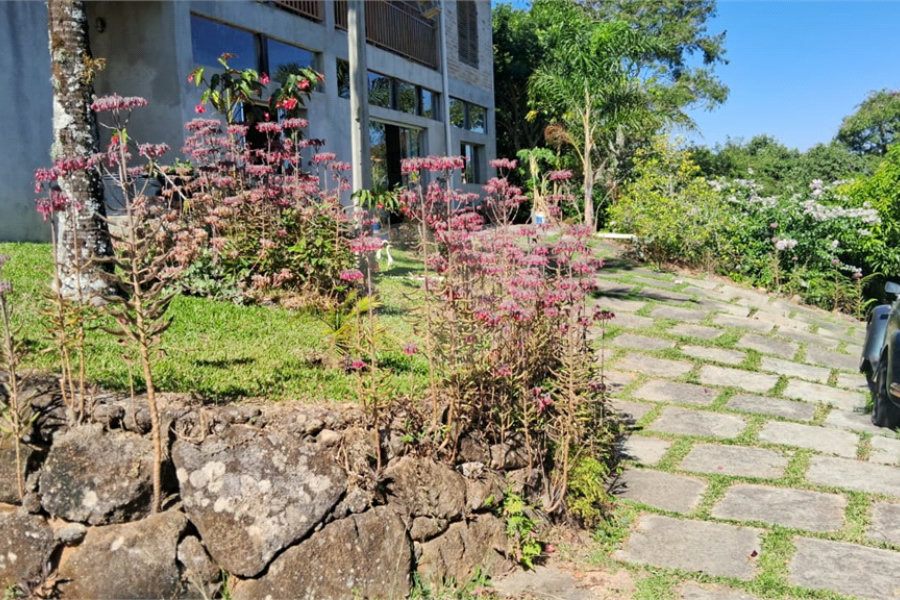 Chácara à venda com 4 quartos em Mato Dentro, Mairiporã, SP