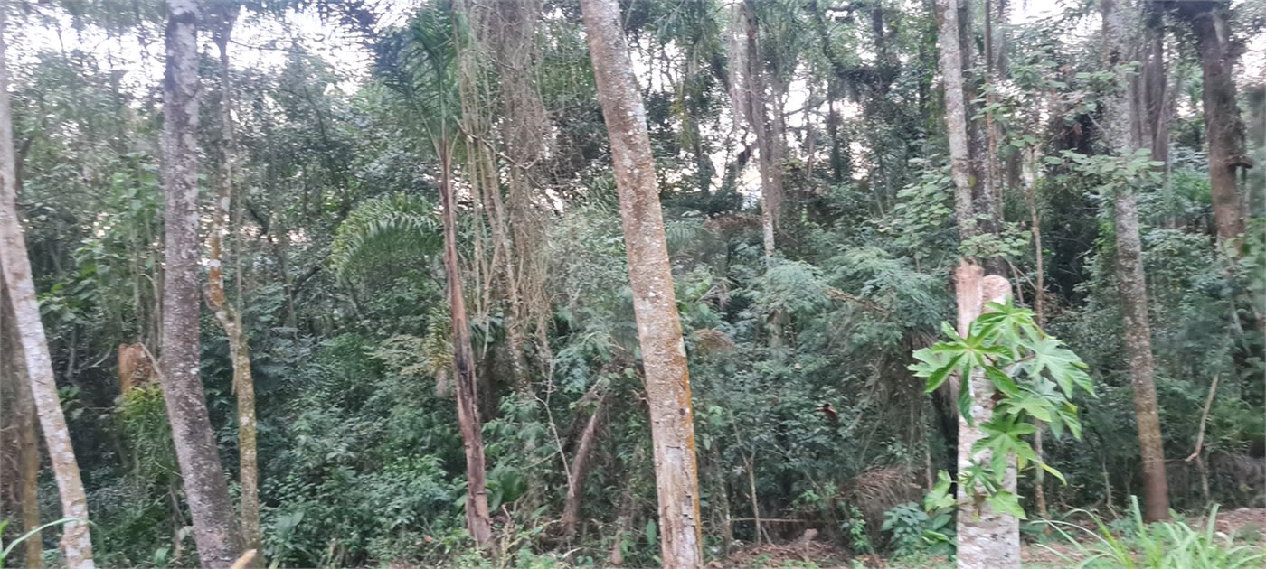 Condomínio à venda em Serra da Cantareira, Mairiporã, SP