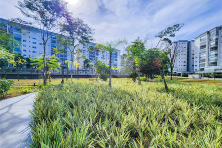 Apartamento à venda com 3 quartos, sendo 1 suíte, em Santo Amaro, São Paulo, SP