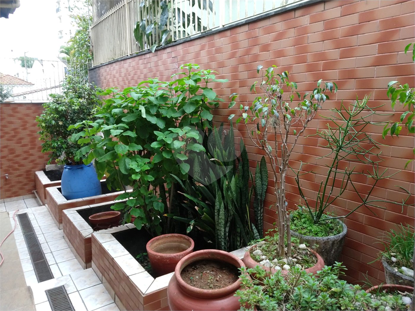 Casa à venda com 5 quartos, sendo 2 suítes, em Água Fria, São Paulo, SP