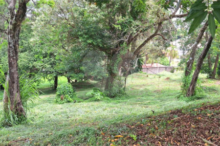 Terreno à venda em Marambaia, Vinhedo, SP