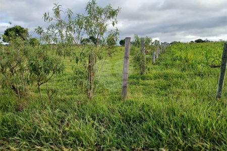 Terreno à venda em Área Rural de Guareí, Guareí, SP