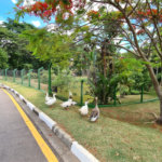 Casa à venda com 3 suítes no condomínio Terras de São Francisco, Vinhedo - SP