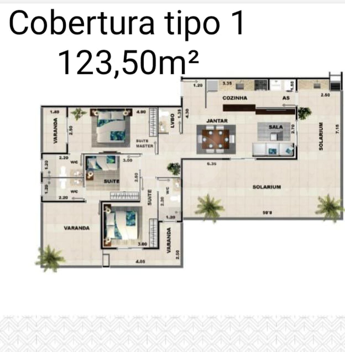 Planta 5