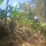Terreno Residencial à venda, , - TE0030.