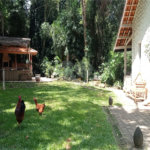 Casa Térrea à venda com 3 quartos, sendo 1 suíte, em Serra da Cantareira, Mairiporã, SP