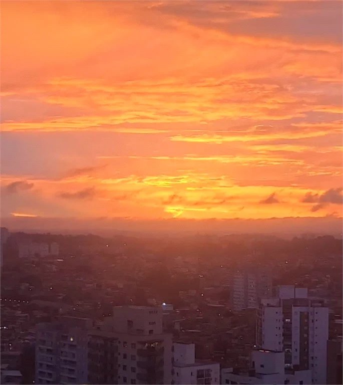 Apartamento à venda com 3 suítes em Vila Andrade, São Paulo, SP