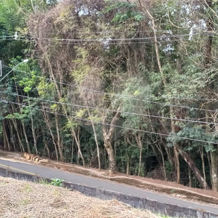 Terreno à venda em Jardim América, Bragança Paulista, SP