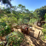 Chácara à venda com 2 quartos em Bosque, Vinhedo, SP