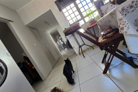 Salão à venda ou para alugar no Centro, Araraquara, SP