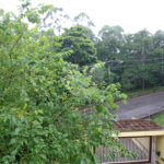 Sobrado à venda com 4 suítes em Parque dos Príncipes, São Paulo, SP