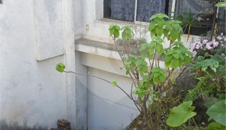 Casa Térrea à venda com 3 quartos, sendo 1 suíte,  em Aclimação, São Paulo, SP