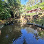 Casa Térrea à venda com 3 quartos, sendo 1 suíte,  em Serra da Cantareira, Mairiporã, SP