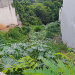 Terreno à venda em Cidade Satélite, Atibaia, SP