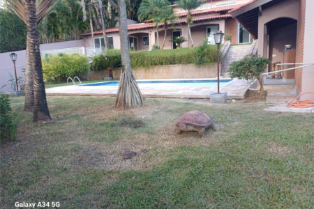 Casa à venda ou para alugar com 5 quartos, sendo 2 suítes, no condomínio Fazenda São Joaquim, Vinhedo - SP