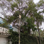 Terreno à venda com 5 quartos em Casa Verde, São Paulo, SP