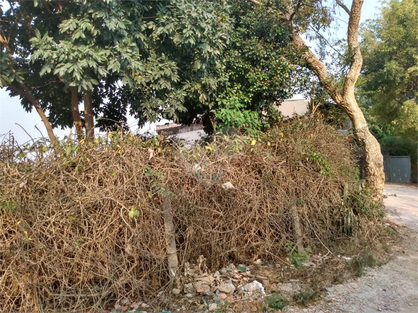 Terreno à venda em Jardim São João (zona Norte), São Paulo, SP