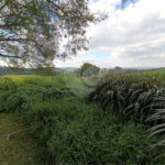 Terreno à venda em Taipas de Pedras (mailasqui), São Roque, SP