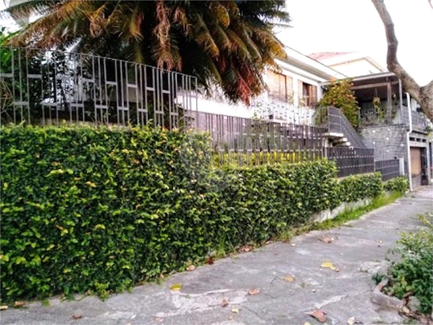 Casa Térrea à venda com 3 quartos, sendo 1 suíte, em Tucuruvi, São Paulo, SP