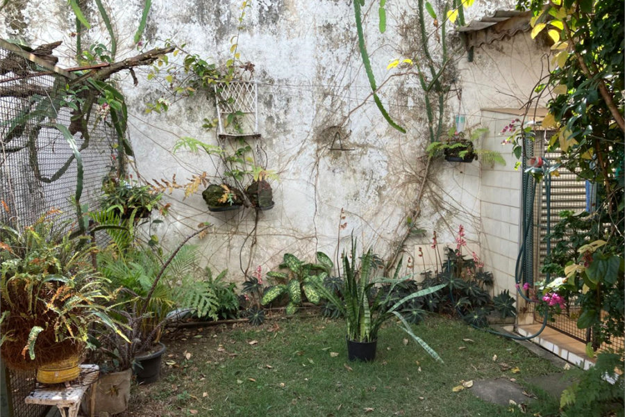 Casa à venda com 5 quartos, sendo 2 suítes,  em Vila Maria, São Paulo, SP