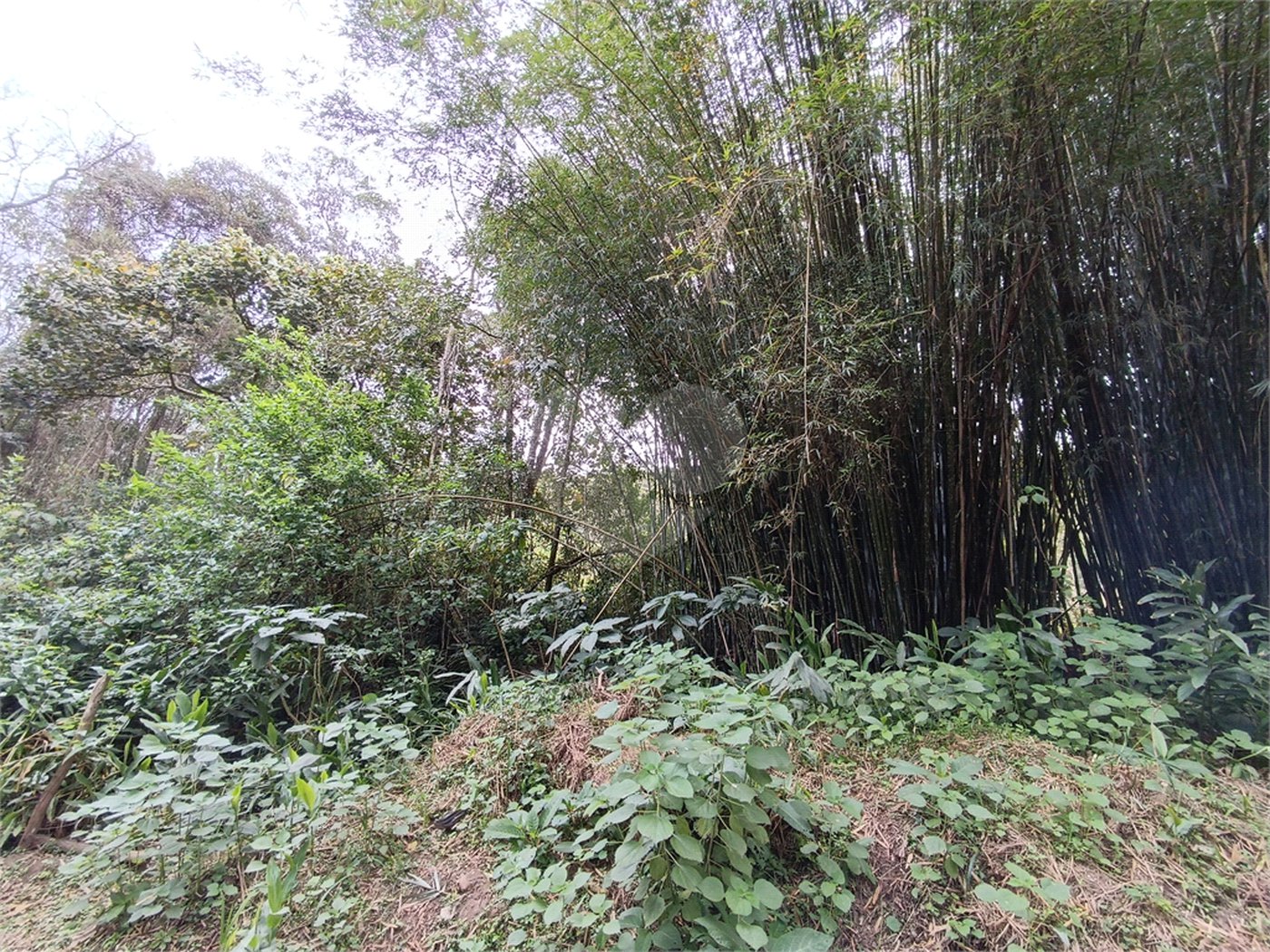 Terreno à venda em Vila Junqueira, São Roque, SP