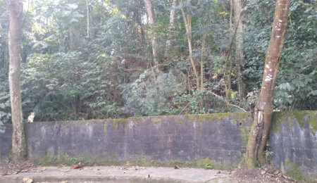 Terreno à venda em Tucuruvi, São Paulo, SP